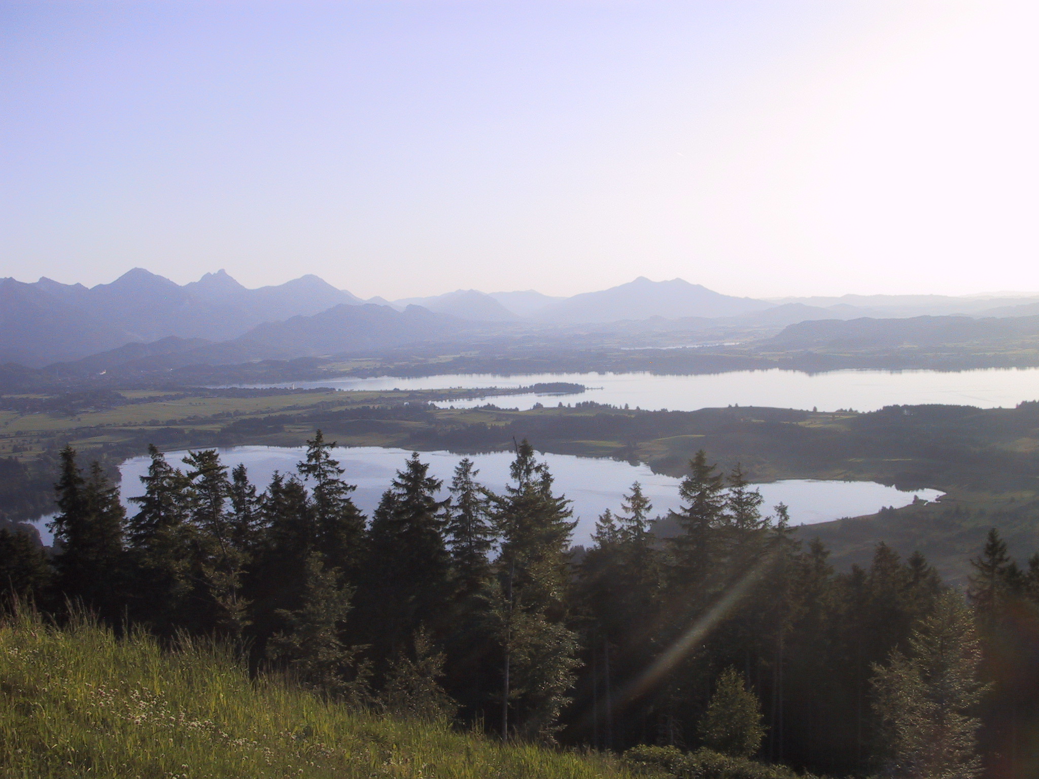 Bannwaldsee und Forggensee